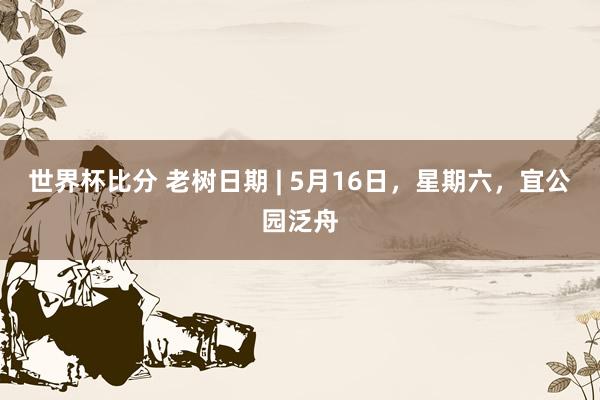 世界杯比分 老树日期 | 5月16日，星期六，宜公园泛舟