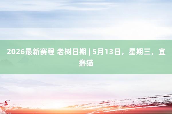 2026最新赛程 老树日期 | 5月13日，星期三，宜撸猫