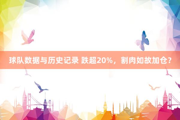 球队数据与历史记录 跌超20%,割肉如故加仓?