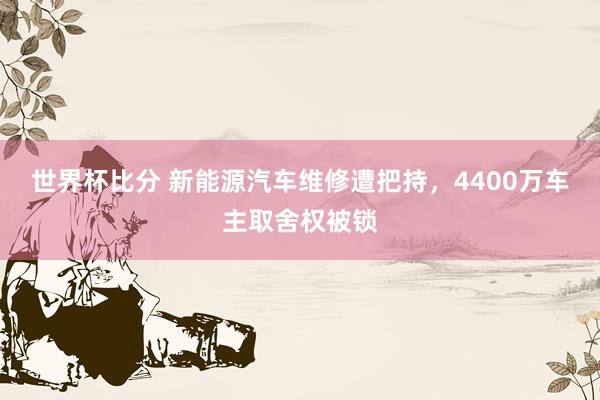 世界杯比分 新能源汽车维修遭把持,4400万车主取舍权被锁