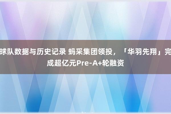 球队数据与历史记录 蚂采集团领投,「华羽先翔」完成超亿元Pre-A+轮融资