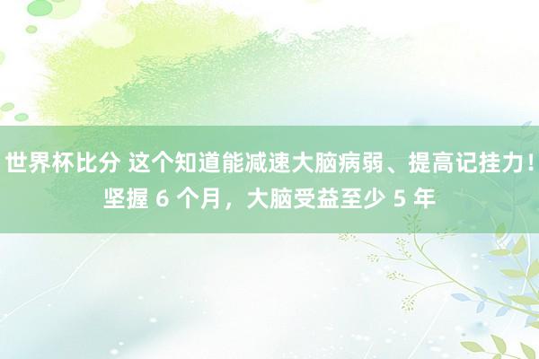 世界杯比分 这个知道能减速大脑病弱、提高记挂力！坚握 6 个月，大脑受益至少 5 年