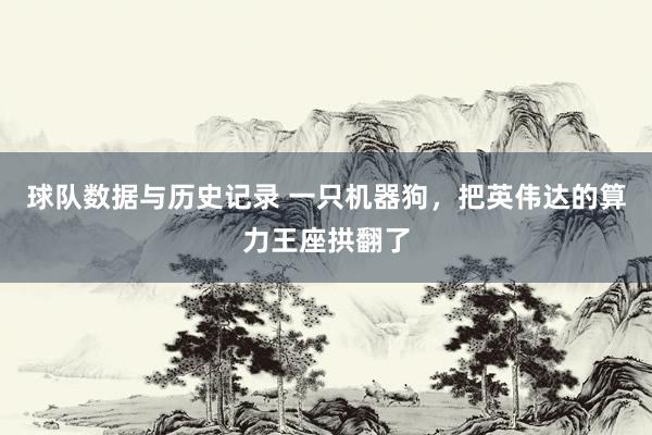 球队数据与历史记录 一只机器狗，把英伟达的算力王座拱翻了