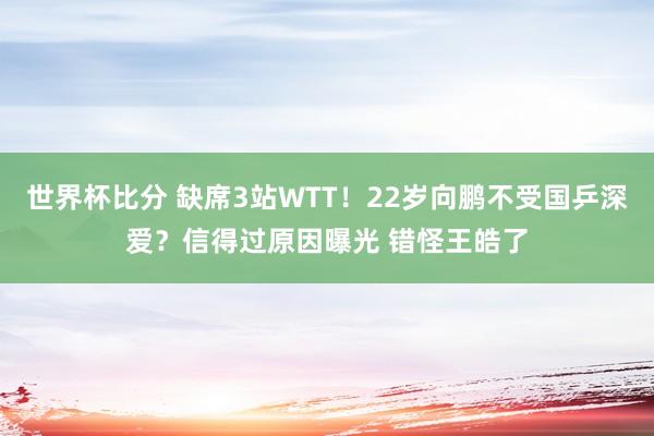 世界杯比分 缺席3站WTT！22岁向鹏不受国乒深爱？信得过原因曝光 错怪王皓了