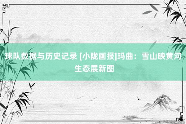 球队数据与历史记录 [小陇画报]玛曲：雪山映黄河 生态展新图