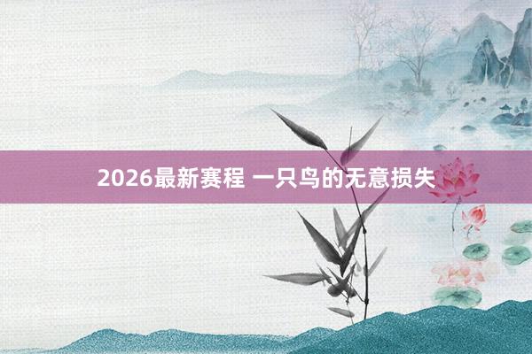 2026最新赛程 一只鸟的无意损失