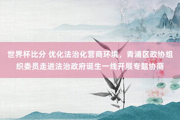 世界杯比分 优化法治化营商环境,青浦区政协组织委员走进法治政府诞生一线开展专题协商