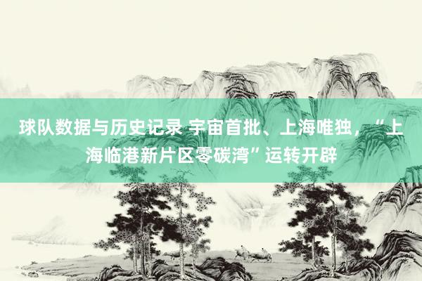 球队数据与历史记录 宇宙首批、上海唯独，“上海临港新片区零碳湾”运转开辟