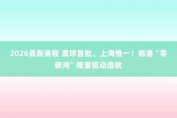 2026最新赛程 寰球首批、上海惟一！临港“零碳湾”隆重驱动造就