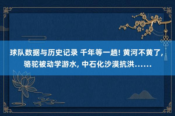 球队数据与历史记录 千年等一趟! 黄河不黄了, 骆驼被动学游水, 中石化沙漠抗洪……
