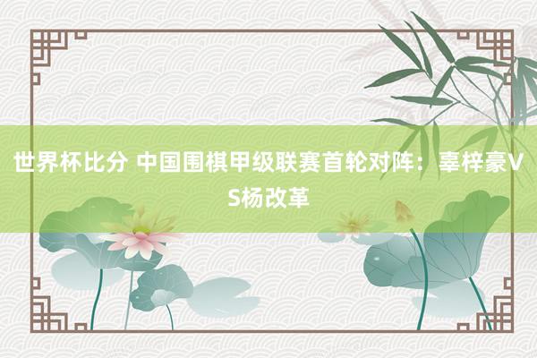 世界杯比分 中国围棋甲级联赛首轮对阵:辜梓豪VS杨改革